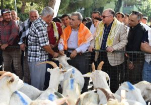 Başkan’dan Bakırçay çıkarması: Koyun ve keçiler Büyükşehir’den