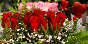 Dünyanın 14 Şubat gülleri İzmir’den!