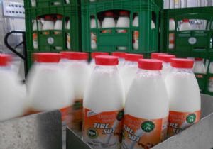 Süt sektörü Haziran’da Tire’de buluşuyor 