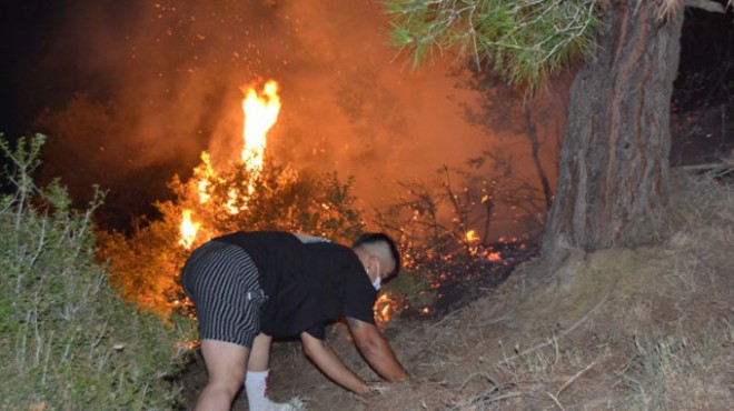 Salihli de orman yangını: 10 dönüm alan zarar gördü
