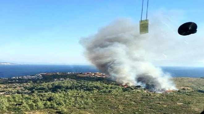 İzmir in turistik ilçesi alev alev: Orman yandı, 57 araba kül oldu!