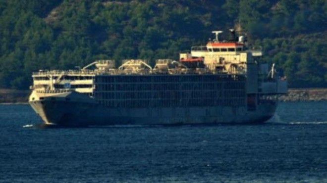 İzmir deki  şarbonlu gemi  iddiası için Bakanlık tan açıklama!