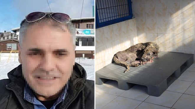 Sokak hayvanlarını öldüreceğini söyleyen belediye çalışanı gözaltına alındı