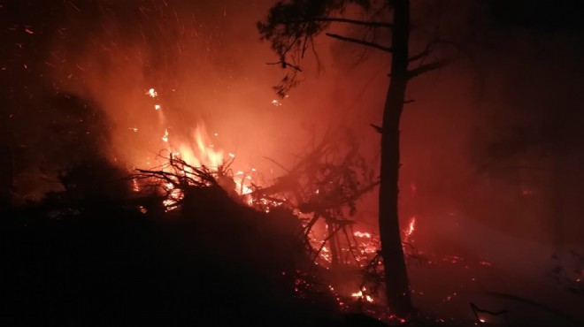 Soma da orman yangını: 6 hektar kül oldu