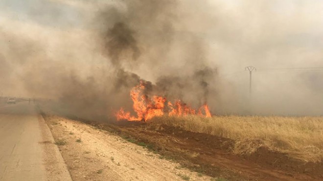 Suriye de, teröristler tarım arazilerini ateşe verdi