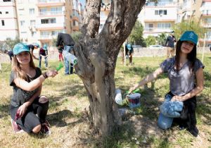 Bornovalı öğrenciler  ağaçlar ölmesin diye  buluştu