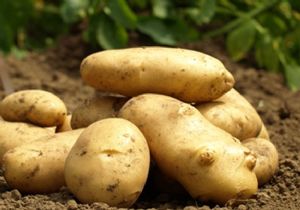Patates enflasyonu: Fiyatı 4 ayda ne kadar arttı? 