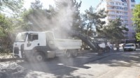 Bornova'da asfalt çalışmaları tam gaz!