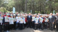 İzmir'de orman temizliği seferberliği