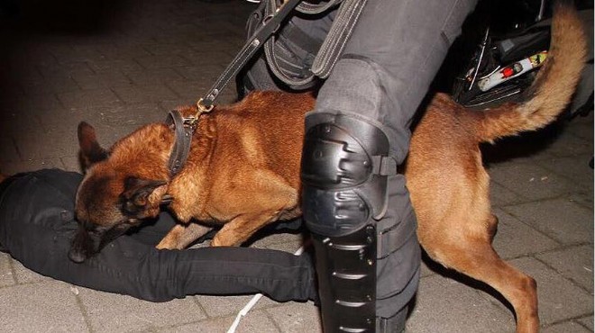 Türk vatandaşlarına polis köpekleriyle müdahale!