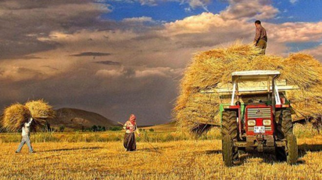 Türkiye, Belçika büyüklüğünde tarım alanını kaybetti