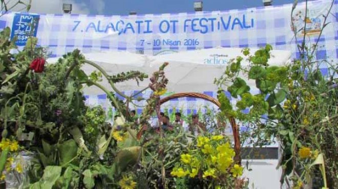 TÜRKODER Başkanı Çelik: Alaçatı Ot Festivali bir başarı öyküsüdür