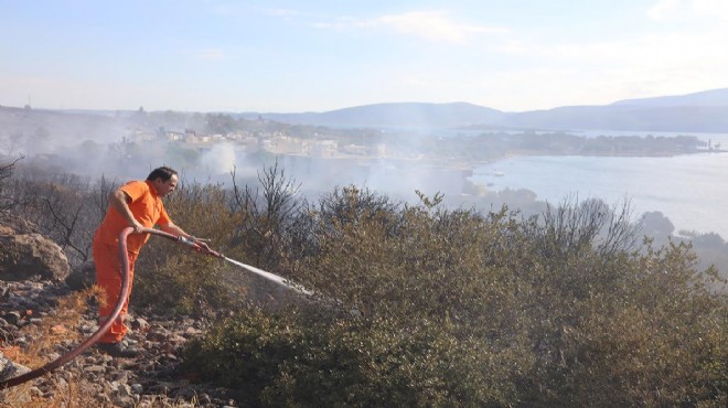 Urla da korkutan yangın: 5 hektar kül oldu