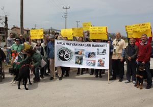 Urla dan hayvan katliamları protestosu