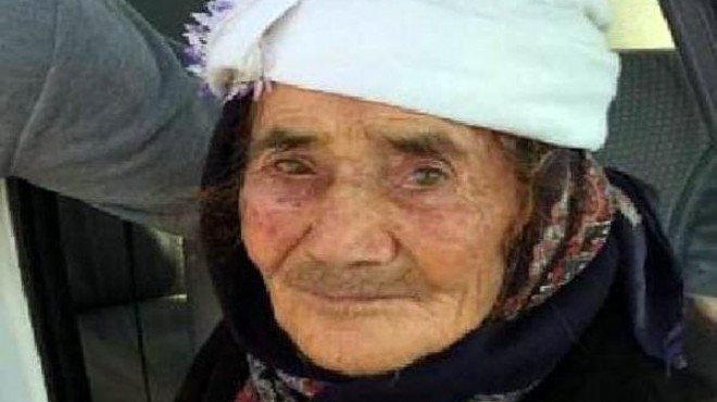 Yaşlı kadın kurt saldırısında hayatını kaybetti