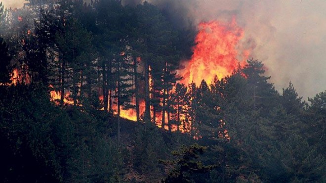 Yeni genelge ile ormanda ateş yakmak yasak!