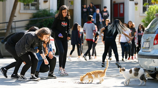 Yer: İzmir... Bu okulda ilk ders hayvan sevgisi
