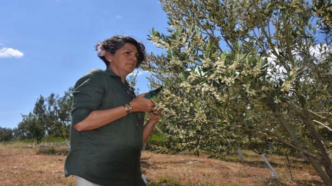 Yıllarca yöneticilik yapan Portakal: Yeni ünvanım çiftçi
