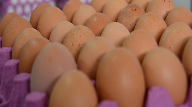 Yumurta üreticilerinden indirim uyarısı!