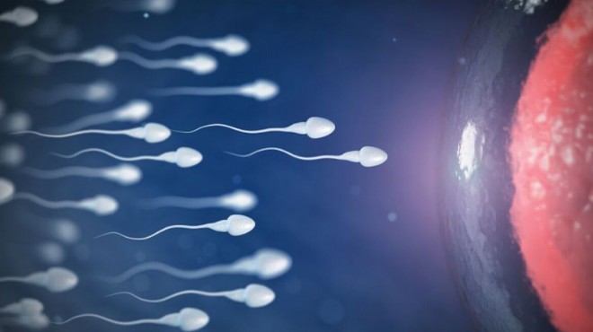  Covid-19 aşısı, erkeklerde sperm sayısını artırıyor 