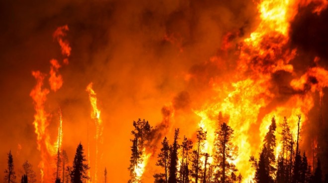 Orman yangınlarına müdahalede önemli adım