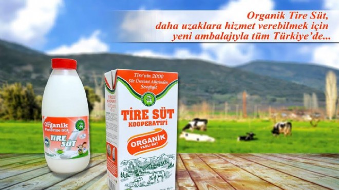  Tire nin sütü  yeni yüzüyle Türkiye ye açıldı!