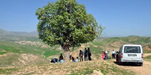 Cudi’de Türkiye fotoğrafını değiştirecek piknik 