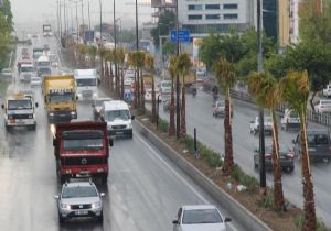 Ankara Caddesi’ni palmiyeler saracak! 