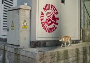 CHP’nin ilk kampanya filminde ‘kedi’ göndermesi! 