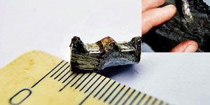 300 milyon yıllık kömürden çıktı!