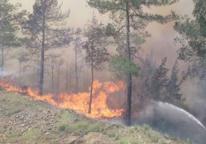 Dalaman da orman yangını: 1 hektar kül oldu
