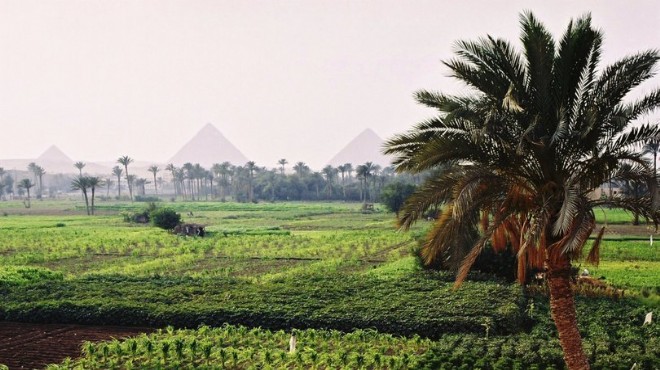 AB den Mısır’a 3 milyar euroluk tarım desteği