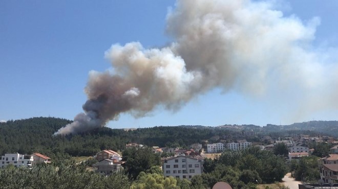 Adana ve Bursa da orman yangını