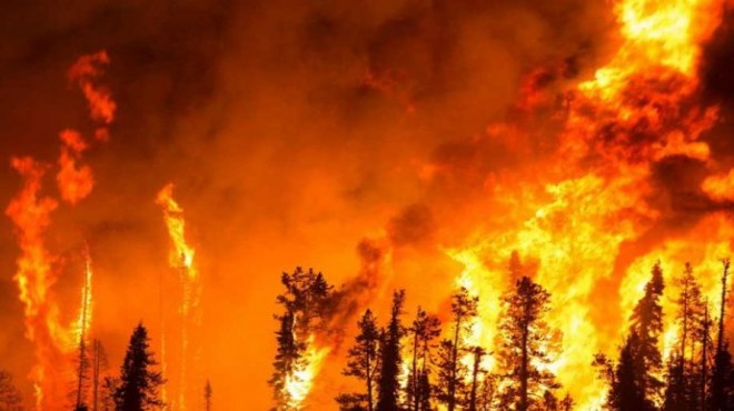Ağır bilanço: Orman yangınlarının yüzde 43 ü İzmir de!