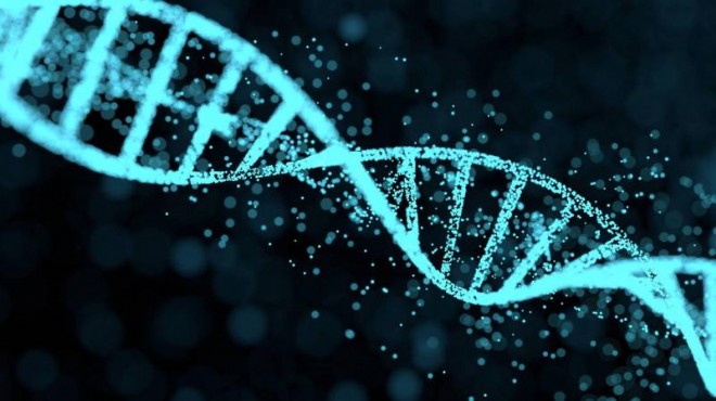 Fiziksel acı hissetmeyen kadının DNA sı sağlıkta devrim yaratabilir