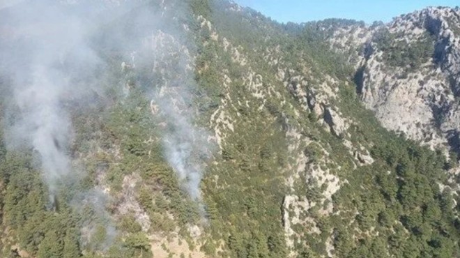 Antalya da çıkan yangına sebep oldukları iddiasıyla 7 turist tutuklandı