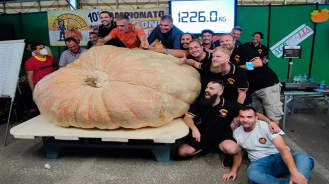 Araba ağırlığında: Dünyanın en büyük bal kabağı