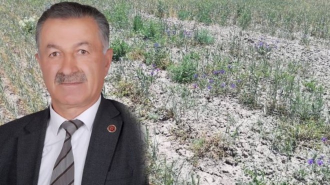 Arazi kavgasında cinayet! Belediye meclis üyesi öldürüldü