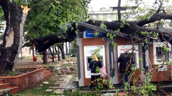 ATM nin üzerine ağaç devrildi: Para çekmeye devam ettiler
