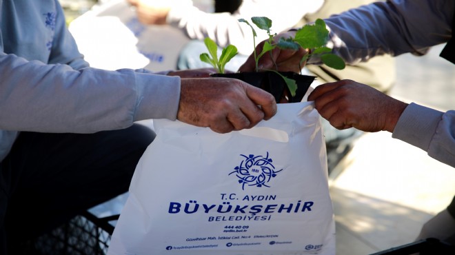 Aydın Büyükşehir Belediyesi ata tohumuna sahip çıktı: Kışlık fide dağıttı