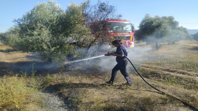 Aydın Büyükşehir Belediyesi İtfaiyesi nden Umurlu daki yangına müdahale