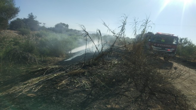 Aydın Büyükşehir Belediyesi İtfaiyesi nden yangına hızlı müdahale