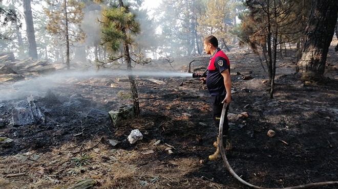 Aydın Büyükşehir ekiplerinden yangınlara müdahale