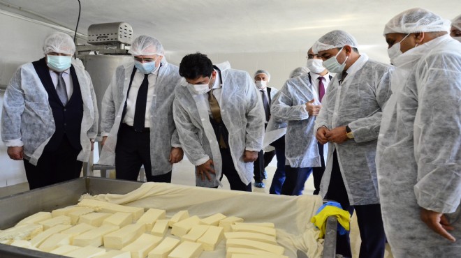 Aydın da üniversitede kaşar peyniri üretim tesisi kuruldu