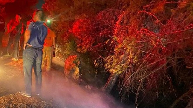 Aydın daki Milli Park’ta çıkan yangın söndürüldü