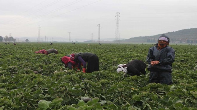 Bakanlık İzmir verilerini açıkladı… Kayıtlı kaç göçmen/mülteci işçi var?