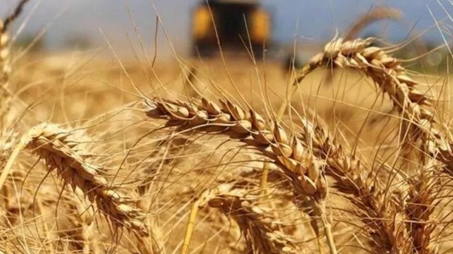 Bakanlıktan Hindistan dan buğday ithalatı açıklaması