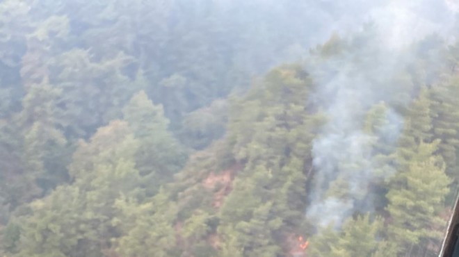 Balçova da orman yangını...  Neron  yakalandı!