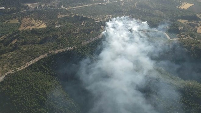 Bodrum da korkutan orman yangını