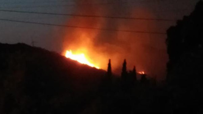 Bodrum da orman yangını! 10 hektar alan zarar gördü...